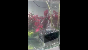 Sakkai Pro L-02 Biological Sponge Filter / Spons Penyaring Aquarium Aquscape / Spon Aerator Air Pump