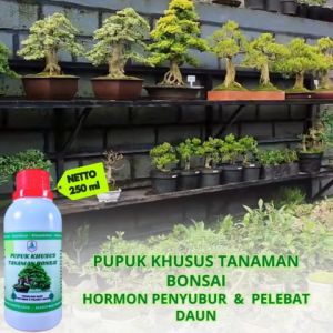 Pupuk Hormon ZPT Booster Penyubur Pelebat Daun Penguat Batang dan Akar Tanaman Bonsai