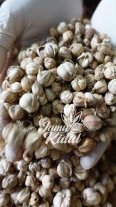 Kapulaga 100gr / Kapulogo Kering Asli Hutan - Lebih Harum