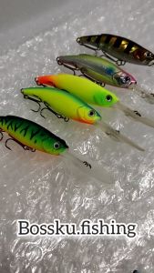 👍Ready Stock👍 7.5cm / 11g X Deep 75F Live series Floating Minnow / Siakap Killer / Fishing lure /bosku.fishing