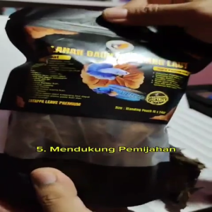 DAUN KETAPANG LAUT SUDAH DI OLAH FERMENTASI BAGUS BUAT IKAN CUPANG DAN CHANA