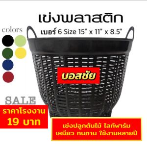 เข่งพลาสติก เบอร์ 6 กว้าง 15 นิ้ว เข่งผลไม้ เข่งปลูกทุเรียน ตะกร้าพลาสติก หนา แข็งแรง