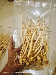 Gingseng merah Korea paket hemat murah