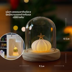 DIY ช่อมัดย้อมสีน้ำเงิน ของขวัญวันเกิดวันวาเลนไทน์ ของตกแต่งบ้าน ไฟตั้งโต๊ะ งานฝีมือจากเปลือกหอยธรรมชาติ ของขวัญสร้างสรรค์