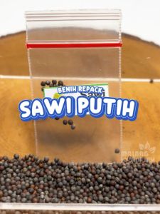 Benih Sawi Putih Unggulan & Biji Bibit Hydroponik