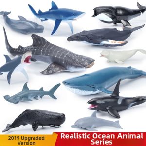 Realistic Ocean Animals Model Set