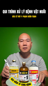 HEO VIÊM TỬ CUNG NẶNG QUINOVET+ENROFOR+ANAGIN+NANOSILVER