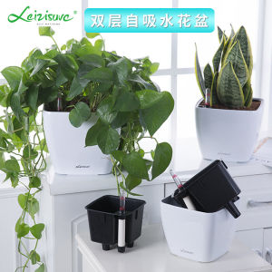 Square Plastic Flower Pot Automatic Water Absorption Green Ivy Plant Pots Special Large Diameter Small Size Desktop Gardening