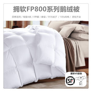 FP800 down Comforter Thickened White Goose down Duvet Hungarian Core Cuddledown Soft Cozy Durable Cotton Cover Spring Autumn Use