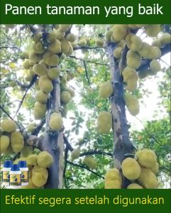 PUPUK GARDEN 68 DAPAT 4 BOTOL