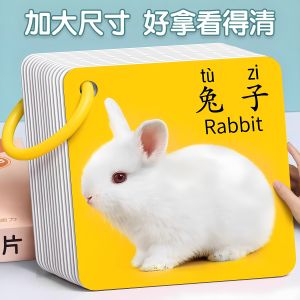 Baby Early Education Cognitive Cards Picture Recognition Animal Cards Infant Intelligence Enlightenment Interest Development Cards