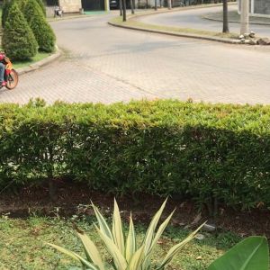 (Custom Case Foto Kartun Estetik) Bahan Softcase Glass Kaca For All Type Oppo /Vivo / Samsung