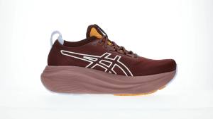 ASICS Women GEL-NIMBUS 27 TR Running Shoes in Nature Bathing/Dark Red Planet