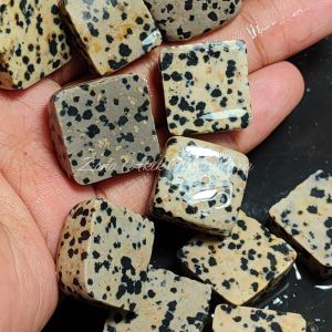 Bongkahan Natural Jesper Macan Tutul Top Quality