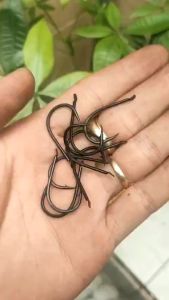 Lưỡi câu cá chép trôi  trắm tra. LƯỠI SÉT korea siêu nhậy sắc bén.