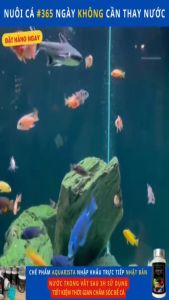 [Combo 2 lọ khuyến mãi] Men vi sinh bể cá Aquarista- Thế hệ mới của Nhật giúp phân hủy chất thải - Làm trong hồ nước thủy sinh