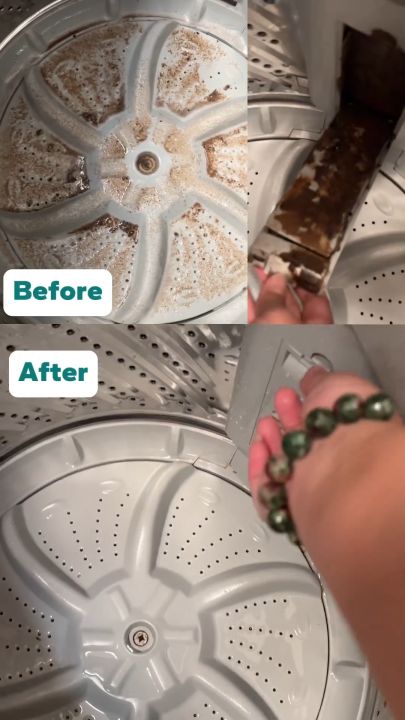 Loxus Pembersih Mesin Cuci Washing Machine Cleaner