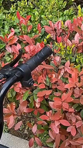 COSY Tali Kait Gantungan 2 Hook Sepeda Motor Sepeda Kereta Dorong Stroller Bayi Berputar 360 / Gantungan Kait Serbaguna Multifungsi Kuat Kokoh / Pengait Tas Belanja