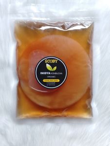 JAMUR SCOBY KOMBUCHA/JAMUR DIPO Diameter 9cm- 12cm + include FREE BIANG STATER NYA