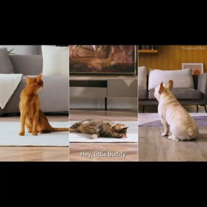 PETKIT YUMSHARE SOLO WITH CAMERA Smart Pet Feeder