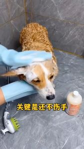 ถุงมือล้างจาน ถุงมือล้างจานซิลิโคน กันน้ำ กันร้อน ทำความสะอาด ล้างจาน ล้างรถ ขัดพื้น อาบน้ำสัตว์เลี้ยง ถุงมือซิลิโคน PA31