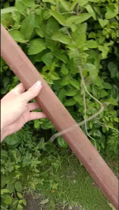 Cán Gỗ Cứng 70cm (4x5cm) – Cán Thay Thế Cho Dụng Cụ Cầm Tay Gỗ Lim