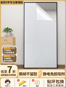 Matte Finish Full Body Mirror Sticker Privacy Bathroom Entrance Makeup Desk Non Transparent Static Cling Adhesive Film