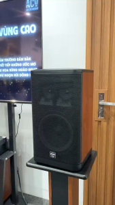 Dàn Loa Karaoke Gia Đình Cao Cấp BBS ICON 8 Woofer 8” Trầm Sâu 2 Tweeter 3” Trong Trẻo Công Suất 600W Mạnh Mẽ