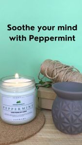 Scent 101 PEPPERMINT Premium Soy Wax Scented Candle Best Seller 500 grams / 200grams / 100grams