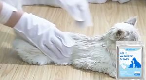 Aimayapet ถุงมือสัตว์เลี้ยงแบบใช้แล้วทิ้ง ดับกลิ่น ดูแลผิวสุนัขและแมว ถุงมือทำความสะอาดระงับกลิ่นกายสำหรับแมวและสุนัข 6pc