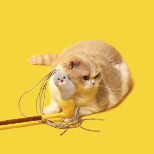 Purlab | Cute & Dorable Cat Toy Pipe Style