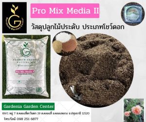 วัสดุปลูกไม้ประดับ ประเภทโชว์ดอก ดินปลูกไม้ดอก ด้วยสูตรผสมเฉพาะสำหรับไม้ดอก