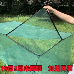 10 Mesh with Lid Fish Storage Fish Breeding Net Box Loach Yellow Croaker Lobster Pet Fence Mesh Thickened Customization