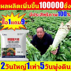100,000 ชั่วโหลด ปุ๋ยมันสำปะลัง ซื้อ 1 แถม 9 ปุ๋ยทางใบมันสำปะหลัง ป้องกันการแตกร้าว ฮอร์โมนมันสำปะหลัง โตเร็ว ต้านทานโรค 100,000 ผลผลิตเพิ่ม คุณภาพดี ปูดูร่า ปูกรอบ ร่างกาย ปูถุงใบ ร่มมูลครอบครัว ผลผลิตเพิ่ม คุณภาพดี คุณภาพดี คุณภ