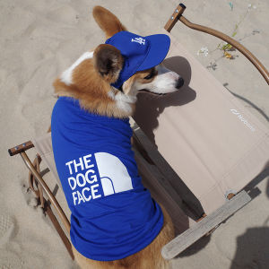 Pet Breathable Sleeveless Vest Spring Summer Anti-Loss Hair Fat Dog Shaving Sun Protection Clothes Trendy Sport T-Shirt Corgi