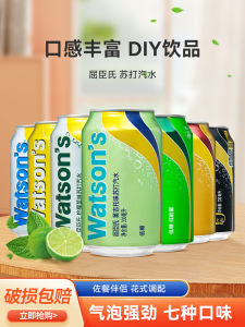 Watsons Original Flavor Dry Ginger Soda Water 330ML*24 Cans Cocktail Beverage Carbonated Drink Business Use Imported