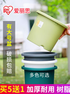 IRIS Deepot Flower Pot Plastic Gallon Basin Balcony Vegetable Planting Basin Tray Alice Flower Pot Succulent Orchid Chinese Rose