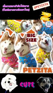 🇹🇭พร้อมส่ง🇹🇭🔥BIG SIZE💥 เสื้อแฟชั่น เสื้อตรุษจีน สุนัขพันธุ์ใหญ่ สุนัขพันธุ์กลาง หมาใหญ่ หมาอ้วน