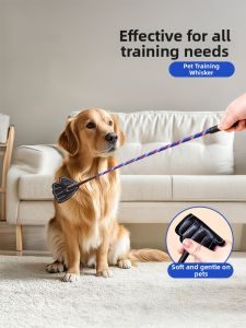 VOA | Pet Dog Training Whip Stick