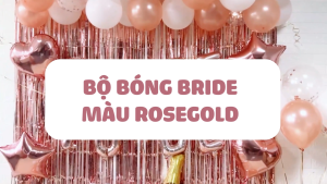 Bộ bong bóng trang trí tiệc chia tay độc thân màu hồng Rosegold ctdt23