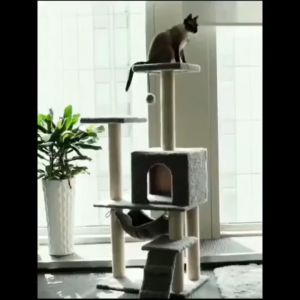 เสถียรมากโดยไม่สั่น ที่ลับเล็บแมว คอนโดแมว บ้านแมว ของเล่นแมว ที่ลับเล็บแมว เล็บแมว คอนโดแมว คอนโดแมวราคาถูก คอนโดแมวกำมะหยี่  Cat Tree