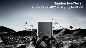 Lithium Battery Charging Case AA/AAA No. 5 1.5V Lithium Battery Smart Charging Case Flip Charger Type-C Fast Charging Port