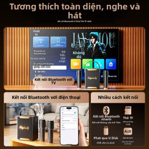 kinyo | Mic và Loa Karaoke Bluetooth cho Nhà