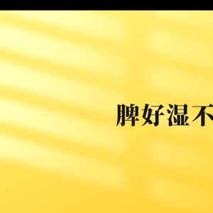 谯韵堂 五指毛桃茯苓仙草茶 (代用茶) QIAOYUNTANG Five-Finger Hair Peach Poria Cocos Fairy Grass Tea 250g/50bag