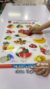 Bộ Tranh Treo Tường Song Ngữ 14 Chủ Đề Cho Bé Giúp Bé Học Chữ Số Và Làm Quen Thế Giới Xung Quanh