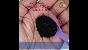Túi 1 Kg Kali Humate Phân Bón Hữu Cơ Giàu Humic Và Fulvic