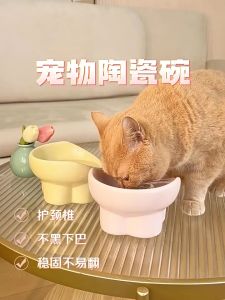 Cute Q Large caliber cat food bowl cat water bowl ceramic pet bowl mangkuk kucing 貓碗陶瓷 狗碗陶瓷