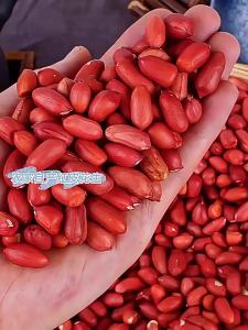 Fresh Homemade Red Peanuts 500g