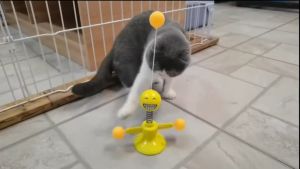 Spring Doll Cat Toy / Turntable Cat Teaser Pet Toy