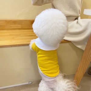 Pet Four-Legged Cotton-Padded Clothes Three-Dimensional Small Flower Dog Dog Clothes Teddy Bichon Pomeranian Small Dog VIP Autumn and Winter Clothes Winter